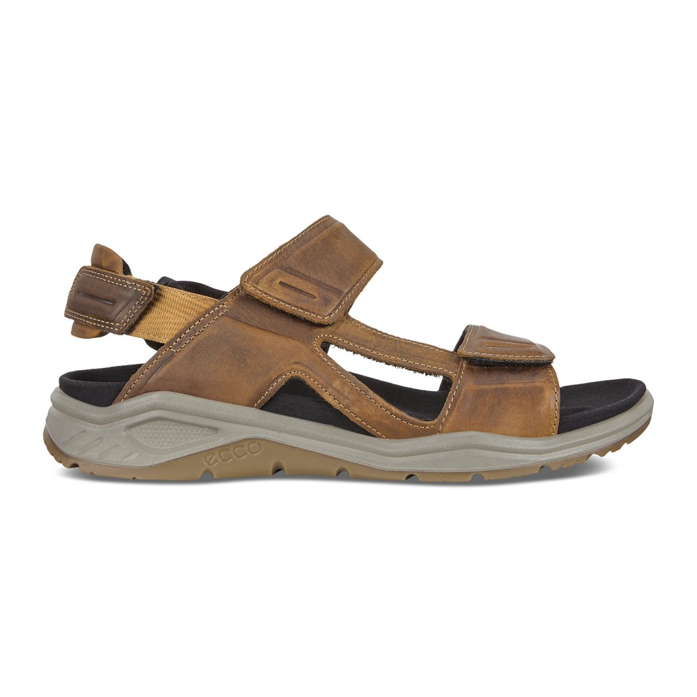 ECCO Mens Sandals Brown - X-Trinsic Flat - ZXK-145697